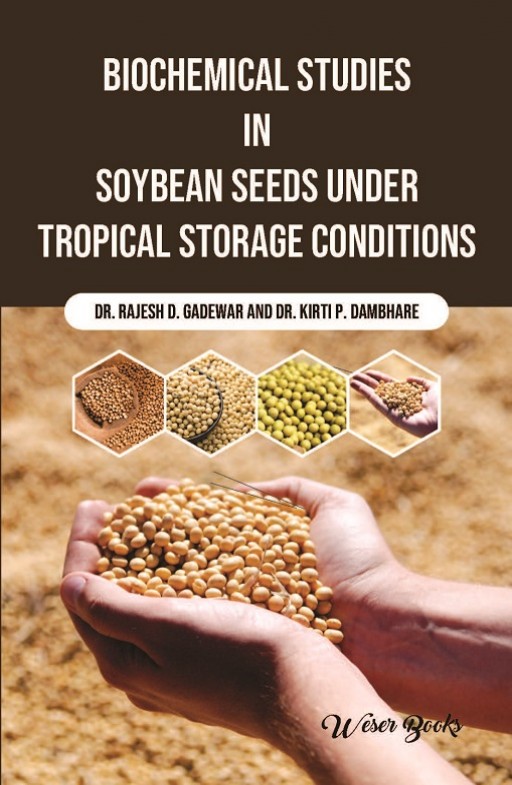 Biochemical Studies in Soybean Seeds under Tropical Storage Conditions