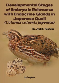 Developmental Stages of Embryo in Relevance with Endocrine Glands in Japanese Quail (Coturnix coturnix japonica)