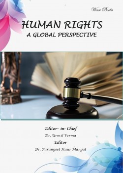 Human Rights A Global Perspective